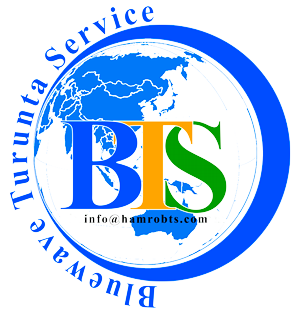 Blue Wave Turunta Service