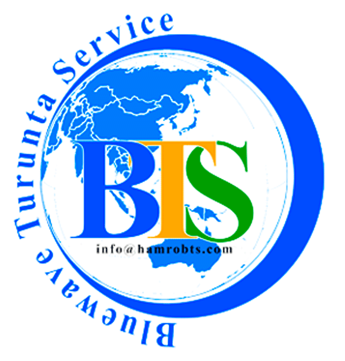 Blue Wave Turunta Service