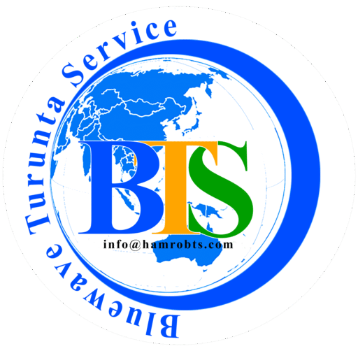 BLUE WAVE TURUNTA SERVICE